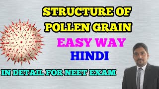 STRUCTURE OF POLLEN GRAIN MICROSPORE  HINDI EASY WAY [upl. by Adnalra]