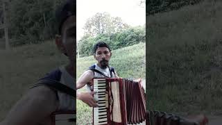 Santa Catarina  Irmãos Serranos  José Santtos do Accordion🎹🇧🇷✌🏼 [upl. by Olympie]