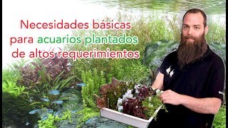 Acuario plantado de altos requerimientos  necesidades básicas [upl. by Ahsakal]