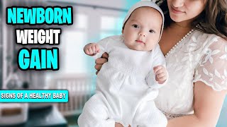 NEWBORN Weight Gain How to Know Your BABY Is HEALTHY [upl. by Buhler513]