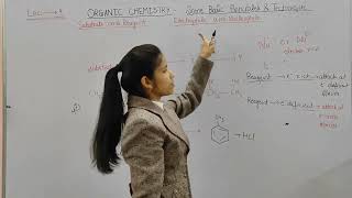 Organic chemistry  class 11 part 9  Electrophile  Nucleophile  Substrate  Reagent  NCERT [upl. by Enelie]