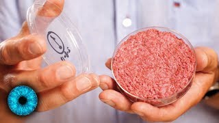 Fleisch aus dem Labor  Essen der Zukunft Gesünder und nachhaltiger [upl. by Enyalahs]