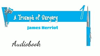 Class 10  A Triumph of Surgery  James Herriot  Audiobook [upl. by Charin]