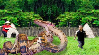 Dwarf family Primitive Life Giant python attacks goat  Mountain VN girl gives a flock of ducks [upl. by Namrej]