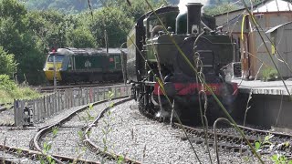 South Devon Railway  28821 ft Full Journey between Totnes and Buckfastleigh [upl. by Jerrilyn]