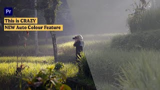 Premiere Pro Color Grading 2024  NEW AUTO COLOR FEATURE [upl. by Amabelle]