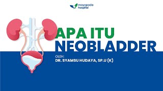 PART 2 DOKTER UROLOGI MENJAWAB TERAPI NEOBLADDER HARAPAN HIDUP PENDERITA KANKER KANDUNG KEMIH [upl. by Trescha884]