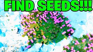 How To Find The BEST Minecraft Seeds  Java amp Bedrock [upl. by Reeher]