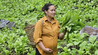 Harvest Green Vegetables Goes To Market Sell  Cooking  Garden  Ly Thi Ca [upl. by Manfred]