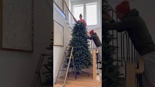 Set up our 12 foot tall Christmas tree with us 🎄 christmas holidays christmastree [upl. by Ariat]