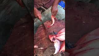 Disco fish cutting skills fish shorts [upl. by Bond]