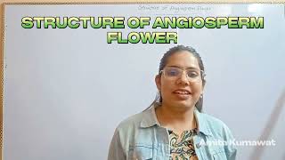 microspore and megaspore of angiospermsbiology neet 2024 neetaspirants amita kumawat [upl. by Atirb585]