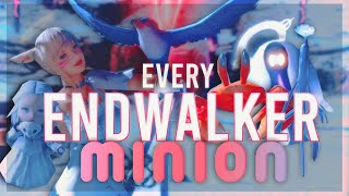 Every Minion Released in 60 Endwalker and Where to Get Them  FFXIV Showcase  Starbird Wee Ea [upl. by Alberik]