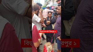 মিরপুর ১ বিড়ালের হাট  পার্সিয়ান বিড়াল  বিদেশি বিড়াল  বিড়াল  Persian Cat  Cat shorts [upl. by Ail]