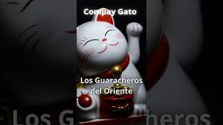 Compay gato  Los Guaracheros de oriente [upl. by Xuerd]