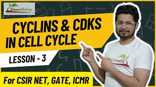 Cyclins and cyclin dependent kinases cdks  Cyclins and cdks in cell cycle [upl. by Divine]