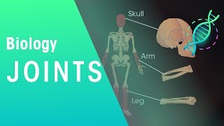 Joints  Physiology  Biology  FuseSchool [upl. by Kellen]