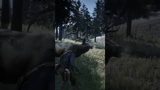 elk vs arthurs fist rdr2 reddeadredmption2 reddeadredmption [upl. by Andromede447]