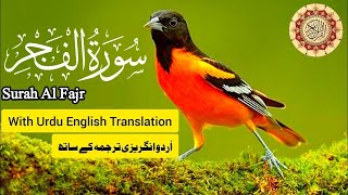 Surat AlFajr The Dawn  سورة الفجر [upl. by Minny]