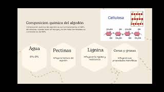 FIBRAS NATURALES DE CELULOSA Y ALGODÓN [upl. by Iba]