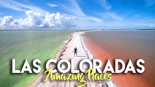 LAS COLORADAS YUCATAN  THE RAINBOW SALT FLATS OF MEXICO [upl. by Nebeur]