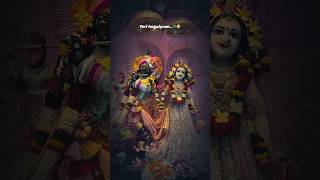 Main Teri Hogaiyaan🥹💖🙏🏻 radhakrishna radharani love status youtube goviral shorts radheshyam [upl. by Amilah494]