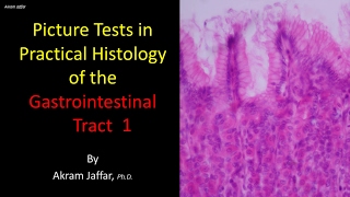 Picture tests in the histology of the gastrointestinal system 1 [upl. by Lida512]