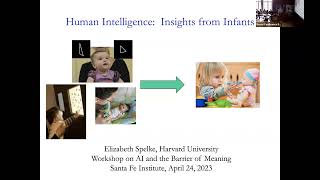 Liz Spelke Human Intelligence Insights from Infants [upl. by Aremmat44]