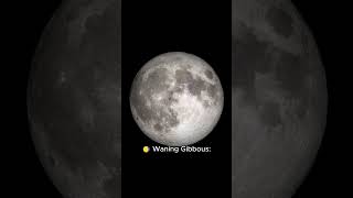 Moon Phases Explained A Simple Guide to the Lunar Cycle in 60 Seconds [upl. by Aenotna]