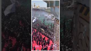 Hussain ya hussain 💗 httpswwwyoutubecomMrjishan47shortsfeedyoutubeshort​trendingshorts [upl. by Nodnarg]