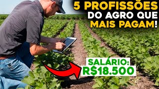 AS 5 PROFISSÕES DO AGRO COM MELHORES SALÁRIOS PARA INICIAR [upl. by Busiek88]