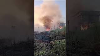 Arbusti e erba incolta prende fuoco vicino al cimitero [upl. by Graf]