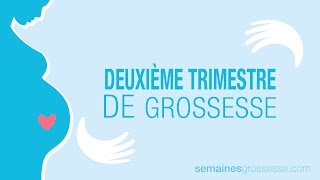 Deuxième Trimestre de Grossesse  La Grossesse trimestre par trimestre [upl. by Zhang]