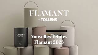 Les 3 nouvelles teintes Flamant 2023 [upl. by Mirak]