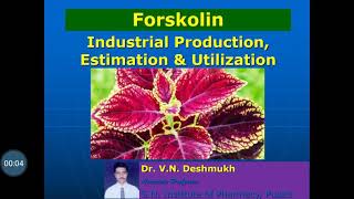 Forskolin Industrial Production Estimation and Utilization [upl. by Hannahc143]