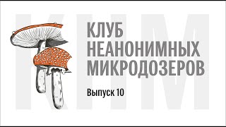 Клуб неанонимных микродозеров Выпуск 10 Михаил Вишневский [upl. by Ahtnams731]