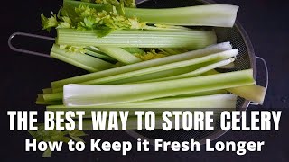 THE BEST WAY TO STORE CELERY  How to Keep Celery Fresh Longer [upl. by Timi]