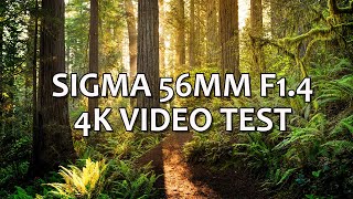 SIGMA 56mm F14 DC DN Contemporary Lens  4k VIDEO TEST amp REVIEW [upl. by Merna]