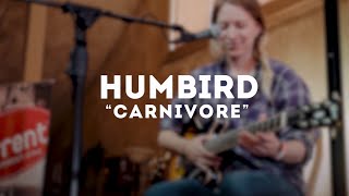 Humbird  Carnivore Live at MWMF [upl. by Bendite]