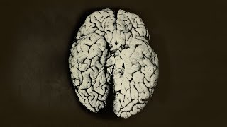 A Scientist Spilled 2 Drops Organic Mercury On Her Hand This Is What Happened To Her Brain [upl. by Hiett]