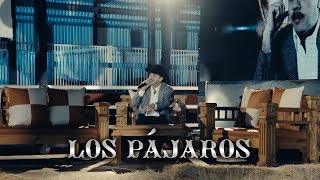 Joel Elizalde  Los Pájaros En Vivo [upl. by Airotel]