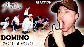 Dancer Reacts To Stray Kids quotDOMINOquot Dance Practice Video REACTION [upl. by Edmond]