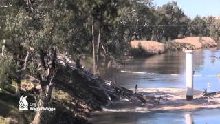 Induced collapse of the Hampden Bridge Wagga Wagga [upl. by Octavia]