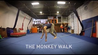 Slackline Tricks 1  The Monkey Walk [upl. by Ellebana979]