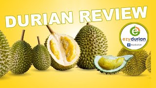 Ezy Durian Review 2024 [upl. by Enihpesoj]