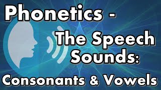 Phonetics  The Speech Sounds Consonants amp Vowels [upl. by Damien904]