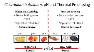 Clostridium botulinum [upl. by Grider]