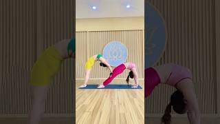 yogawithsoni yoga viral trending viralvideo yogachallenge morningyoga backbend [upl. by Longerich]