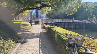 Tokyo Imperial Palace Park Walkaround [upl. by Noni]