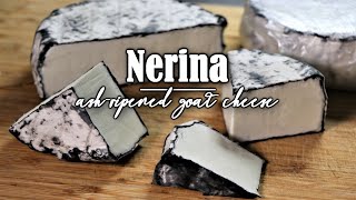 How to make Nerina Cheese [upl. by Aneetsirk577]